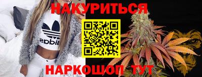 крисы Краснознаменск