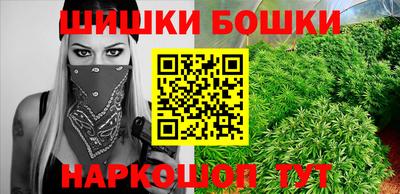 крисы Краснознаменск