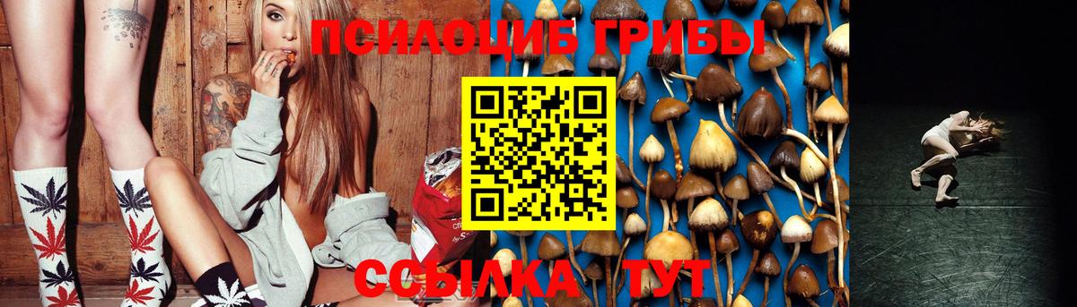 Галлюциногенные грибы Psilocybine cubensis Сосновый Бор